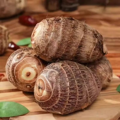山东当季现挖牛奶芋头新鲜芋头小香芋老品种毛软糯精挑芋艿