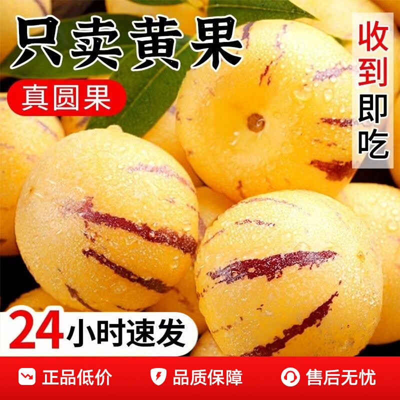 人参果新鲜水果云南石林黄心圆果树上熟七彩人叁果应当季整箱包邮