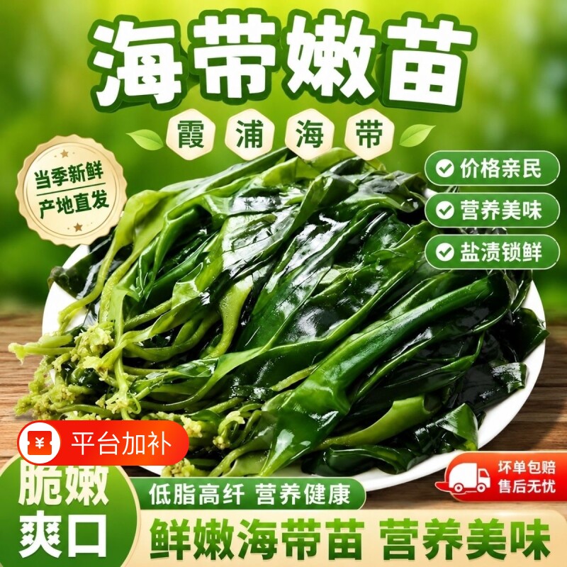 盐渍海带海带苗嫩苗霞浦凉拌火锅整箱袋装商用裙带菜干货特级新鲜