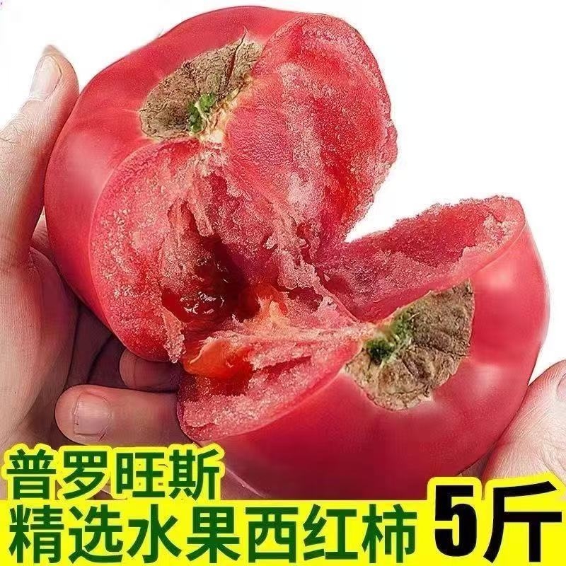 宁夏水果西红柿新鲜现摘口感番茄自然水果沙瓤蔬菜生吃老少皆宜