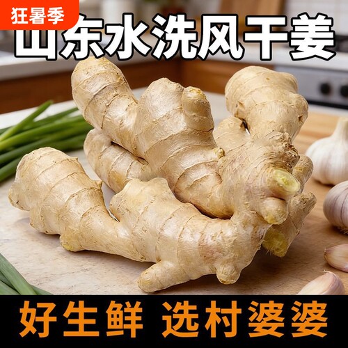 山东生姜老姜新鲜姜老生姜黄姜老姜母沙姜月子姜包邮食用原产地