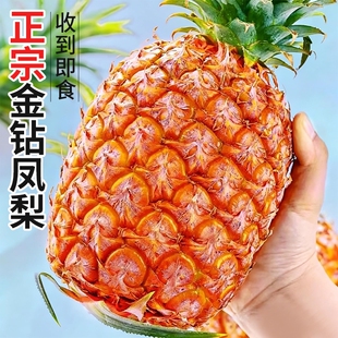 金钻凤梨新鲜正宗菠萝孕妇水果手撕风梨当季特产大果整箱包邮