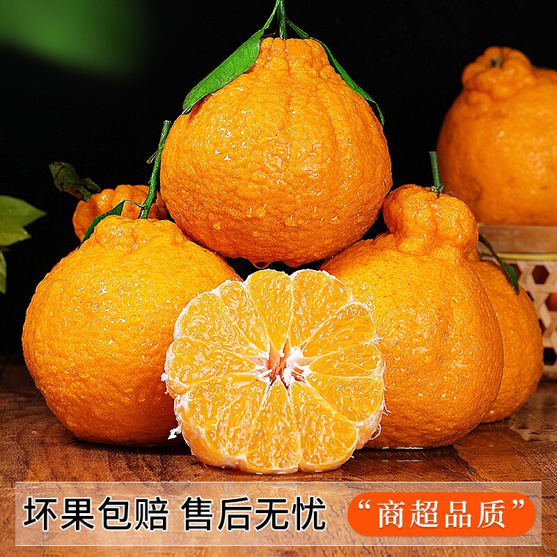 丑橘正宗四川新鲜应季现摘现发纤果果蔬不知火优选采摘大果年货节