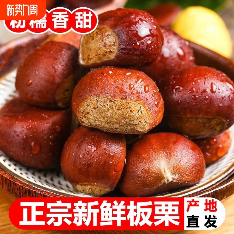 【新下树】正宗新鲜生现摘丹东板栗5斤栗子锥去毛球油栗仁蔬罗田