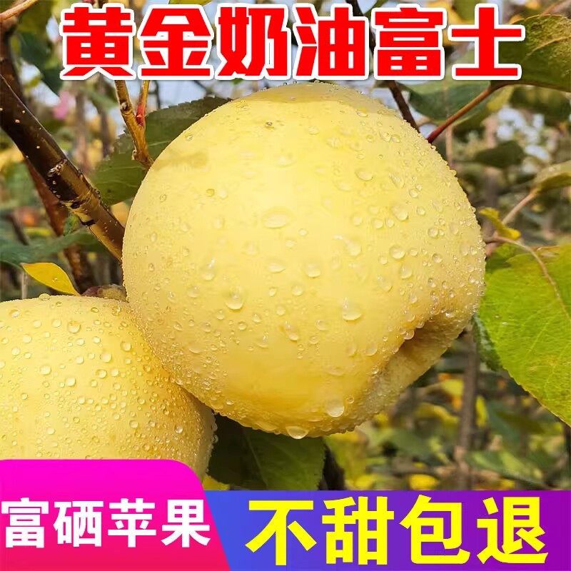 山东烟台苹果黄金奶油富士脆甜新鲜水果栖霞奶油苹果整箱包邮