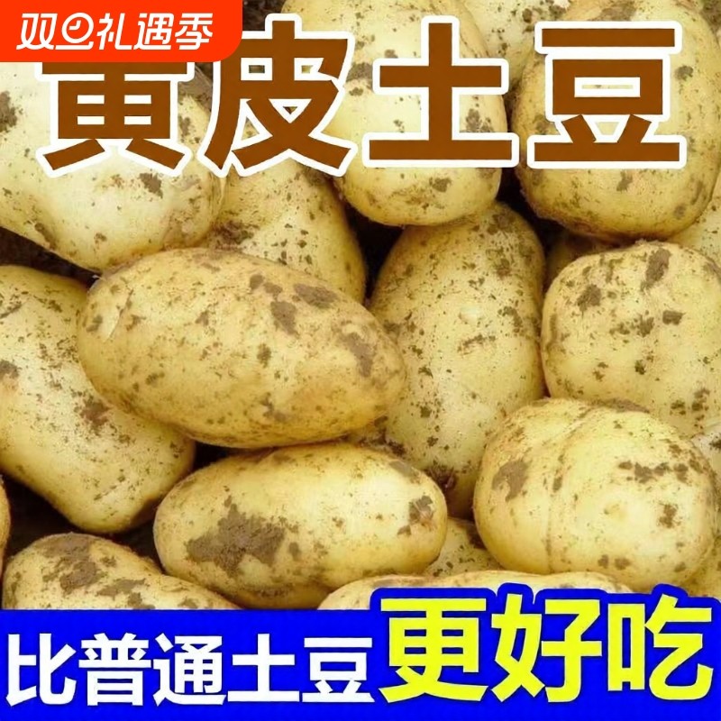 好吃难看黄心黄皮土豆马铃薯正宗农家自种洋芋新鲜蔬菜整箱批发