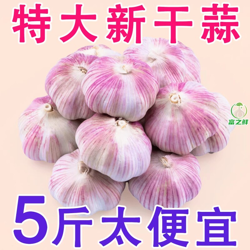 大蒜头金乡大蒜5斤新鲜干5斤装蒜籽2025蔬菜批发紫皮特大果自提