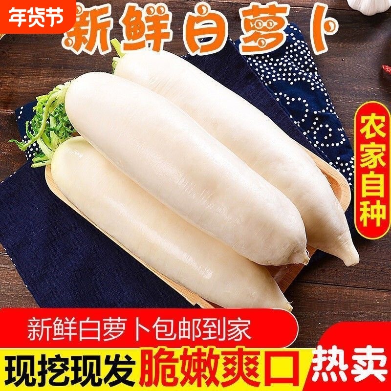 正宗东北长白山现挖水果白萝卜装新鲜蔬菜农家辛辣甜白罗卜包邮,水产肉类/新鲜蔬果/熟食,萝卜/胡萝卜,淘宝优惠券,粉丝福利购,淘宝优惠卷