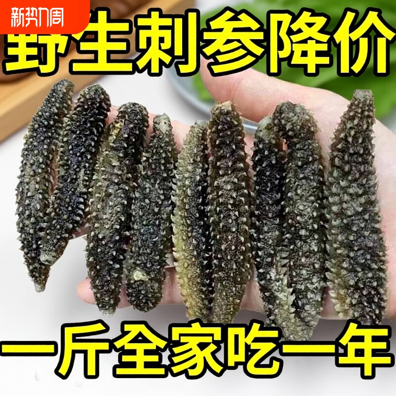 野生干货大连淡干纯淡海参非即食海参野生辽参非干货特价海生刺参