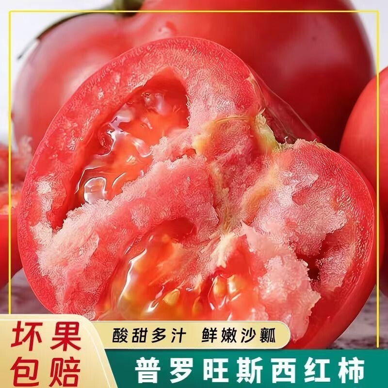 陕西水果番茄自然熟生吃自然熟沙瓤新鲜沙瓤番茄普罗旺斯当季黄