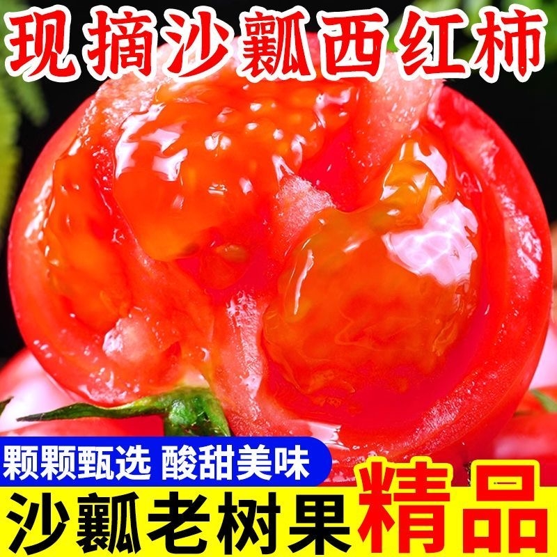 正宗自然熟沙西红柿5斤