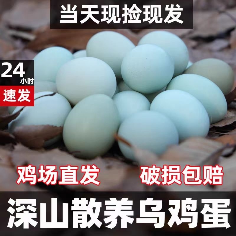 绿壳土鸡蛋林下散养新鲜乌鸡蛋