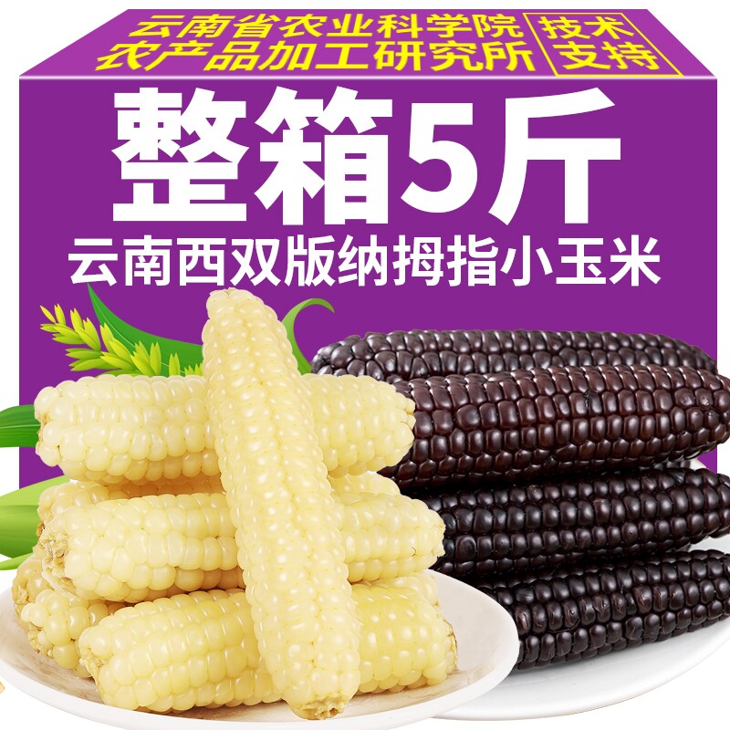 云南拇指玉米西双版纳特产手指小玉米真空装迷你紫糯玉米早餐整箱