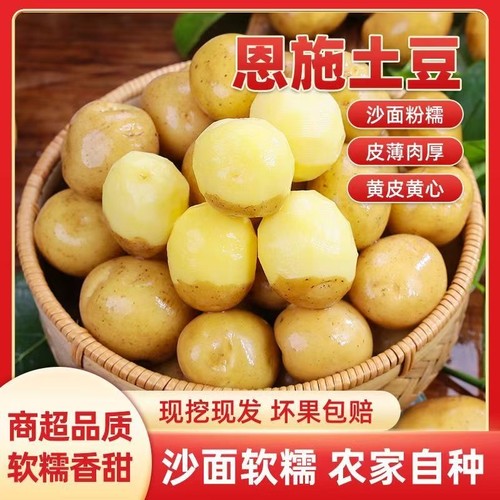 恩施小土豆正宗包邮新鲜洋芋迷你黄心士豆湖北马铃薯蔬菜