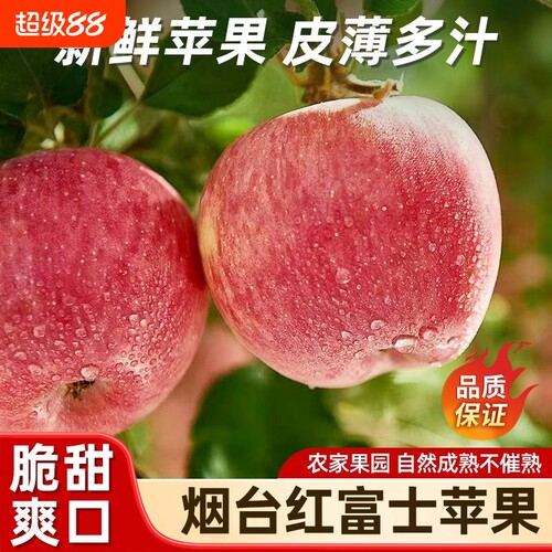 正宗山东红富士冰糖大果苹果