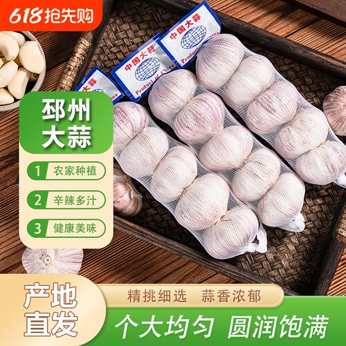 产地直发邳州大蒜商超同款精品网兜条装 紫白皮单果5-5.5cm净蒜
