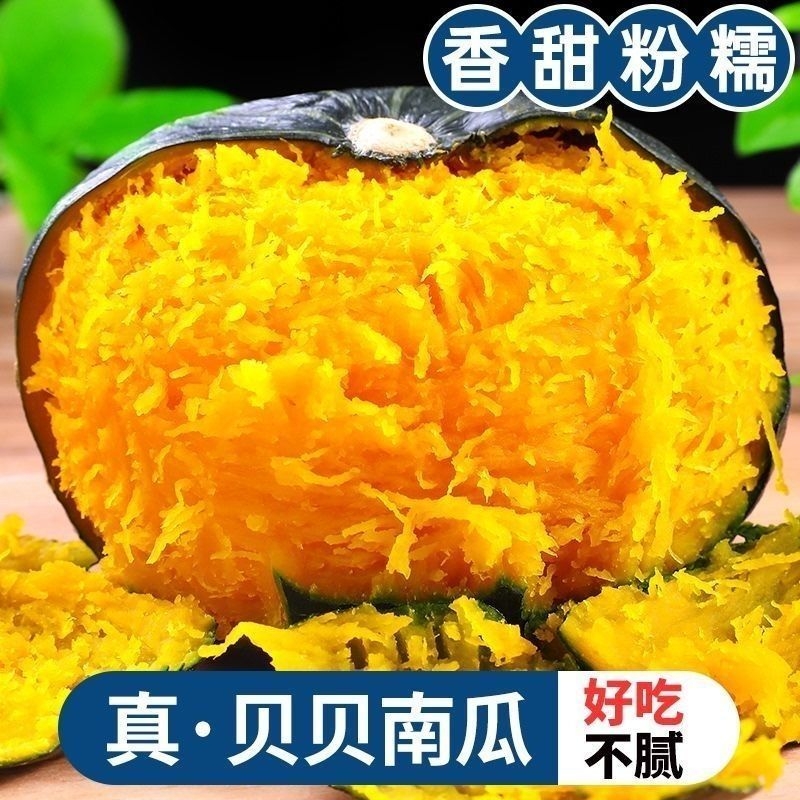 贝贝南瓜新鲜正宗板栗味小南瓜栗面日本老瓜婴儿孕妇粉糯辅食香甜