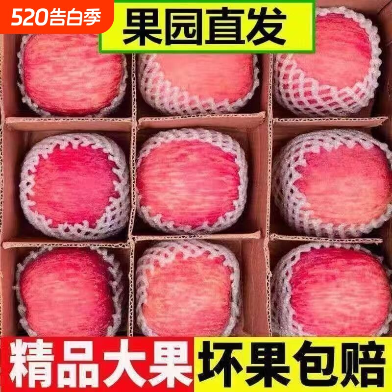 山东烟台红富士苹果新鲜四季水果脆甜产地直发苹果整箱发精品鲜果