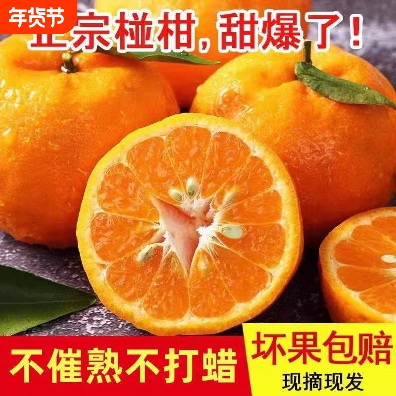 正宗湘西高山椪柑现摘爆汁当季新鲜水果芦柑桔子橘子大果整箱碰柑,水产肉类/新鲜蔬果/熟食,桔子,淘宝优惠券,粉丝福利购,淘宝优惠卷