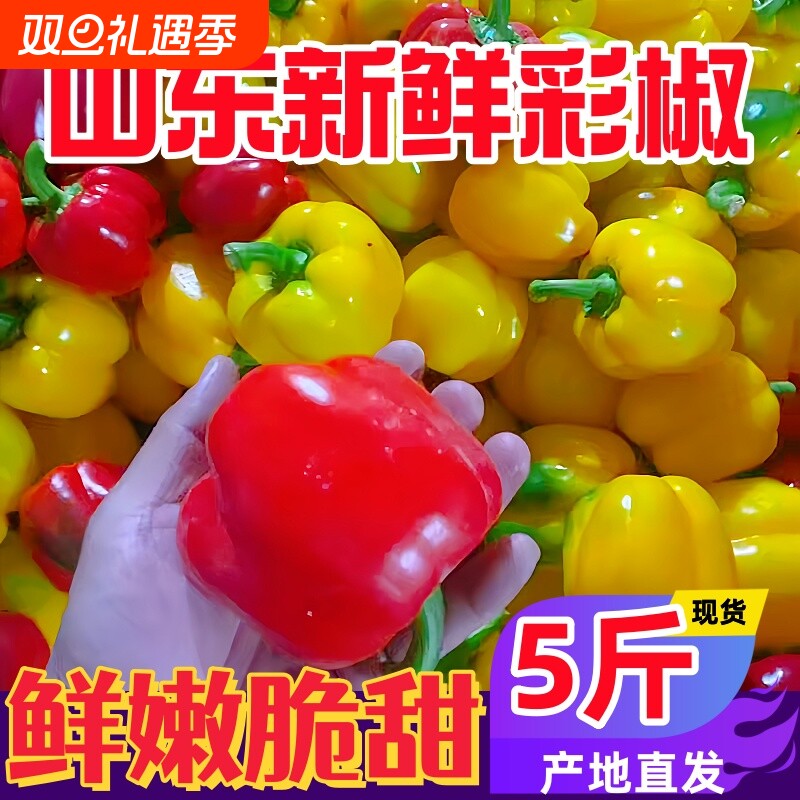 山东现摘现发甜彩椒菜椒新鲜不辣灯笼椒可生吃水果椒柿子彩椒生吃