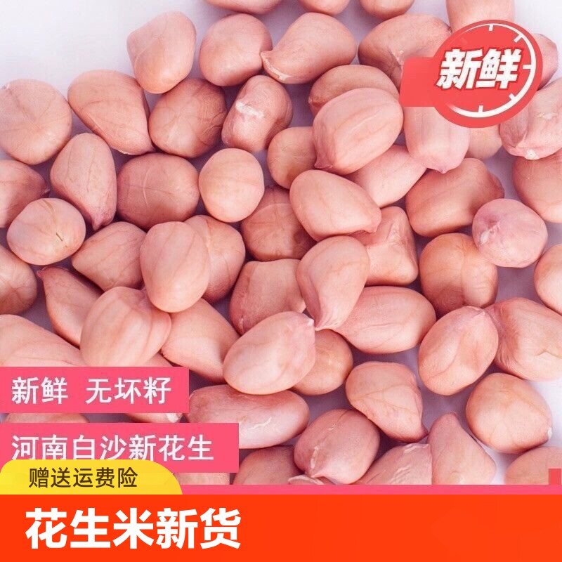 白沙花生仁花生米商用批发新鲜种子特产精选大粒油炸优质新货晒干