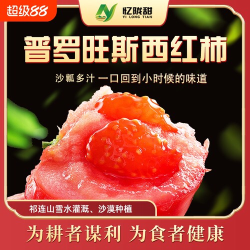 甘肃沙漠普罗旺斯西红柿沙地种植