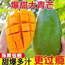 越南大青芒果5斤新鲜水果当季 整箱现摘大芒果9农场热带时令客服