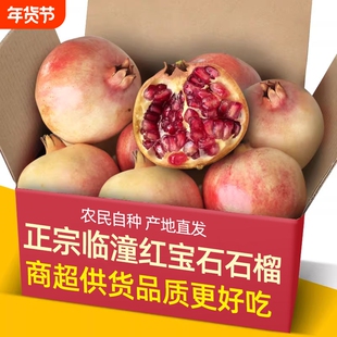 现货陕西临潼突尼斯软籽石榴新鲜当季水果5斤大果整箱甜石榴包邮9