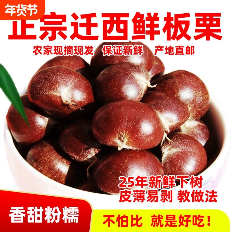 2025年正宗河北唐山迁西板栗生新鲜栗子3113燕山油栗子产