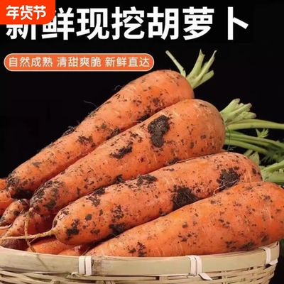 新鲜带泥胡萝卜蔬菜水果现挖生吃脆甜红心萝卜农家自种当季