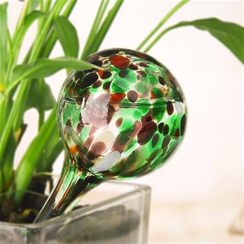 6pcs Durable Home Watering Bulbs Eco-friendly Sturdy