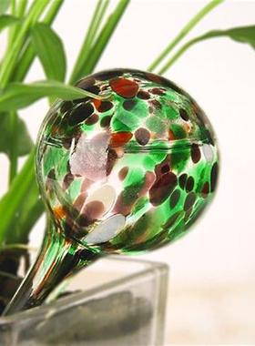 6pcs Durable Home Watering Bulbs Eco-friendly Sturdy