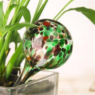 6pcs Durable Home Watering Bulbs Eco-friendly Sturdy