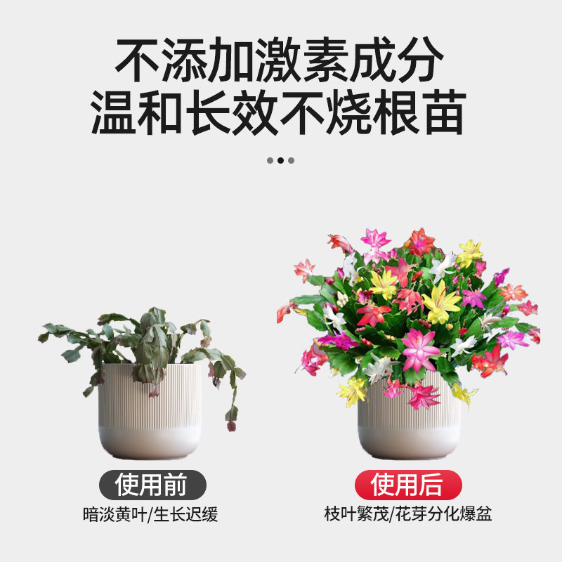 好货蟹爪兰专用营养液浓缩肥料绿植花卉植物盆栽通用型家用养花液