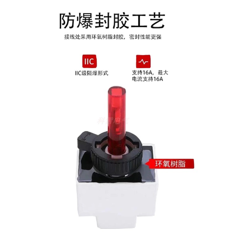 防爆防腐按钮开关BA8030防爆带灯急停自复位按钮配电箱元件30mm