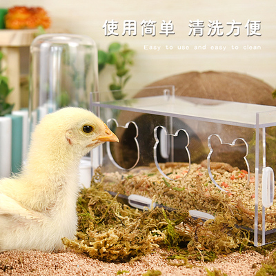 新品芦丁鸡喂食器亚克力自动饮水器卢丁鸡鹌鹑育雏食盒食盆下料器