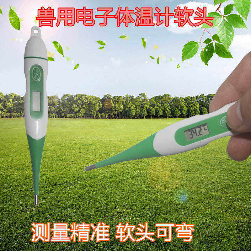 极速高精度兽用电子体温计猪用体温计 温度计猫狗宠物牛羊测温仪