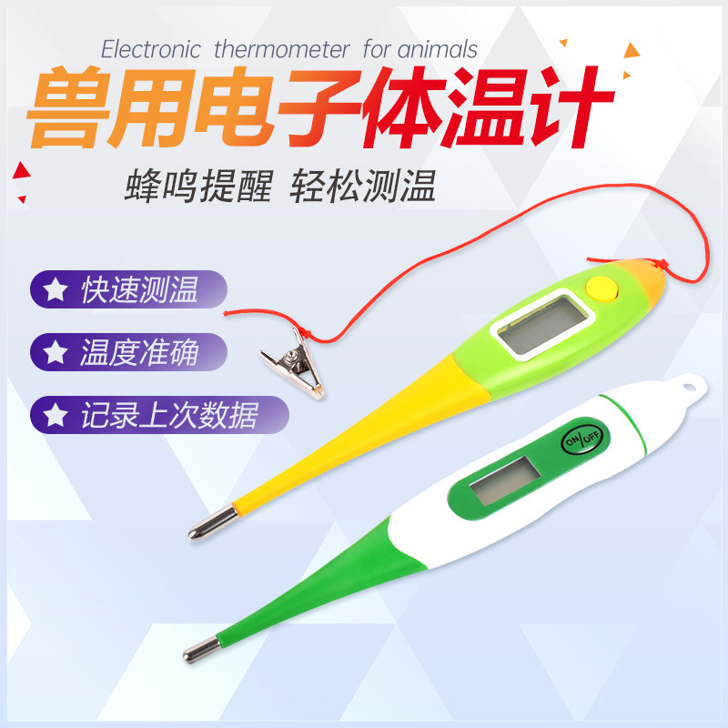 极速兽用电子体温温度计软头猪牛羊用测温仪快速测温用电子肛温温