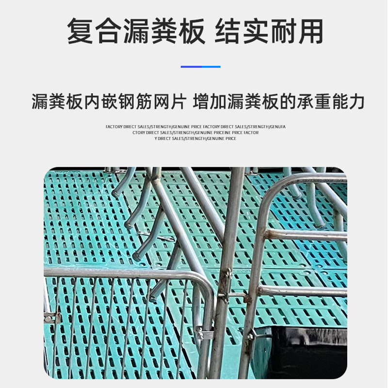 极速大小仔猪崽限位栏漏粪板保温箱料槽分娩床母猪产床保育两用复