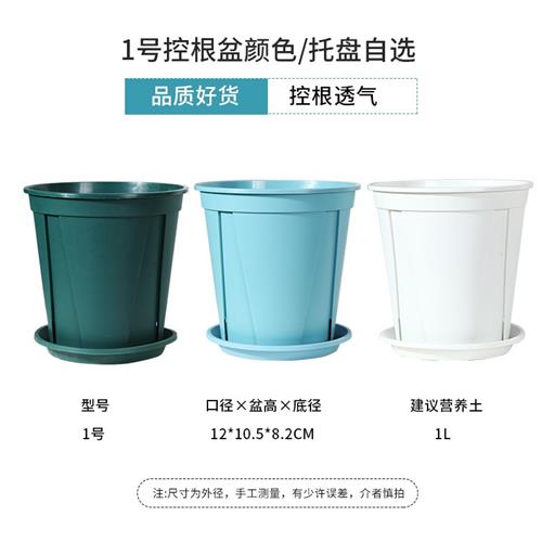 好货养花花盆塑料加仑盆家用兰花桌面月季玫瑰专用种花盆带托盘青