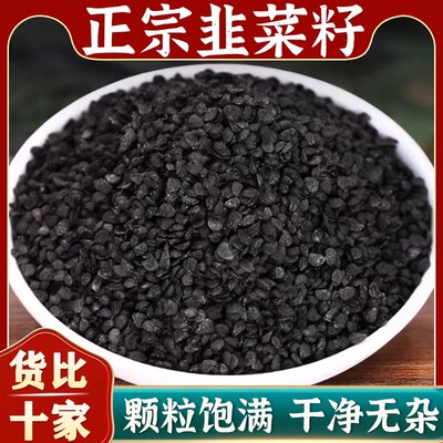 野生韭菜籽中药材炒熟的功效官方旗舰店老品种久艽韭菜子粉枸杞茶