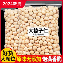 新货东北大榛子仁原味坚果罐装熟烘焙孕妇零食非碎仁500g干果散装