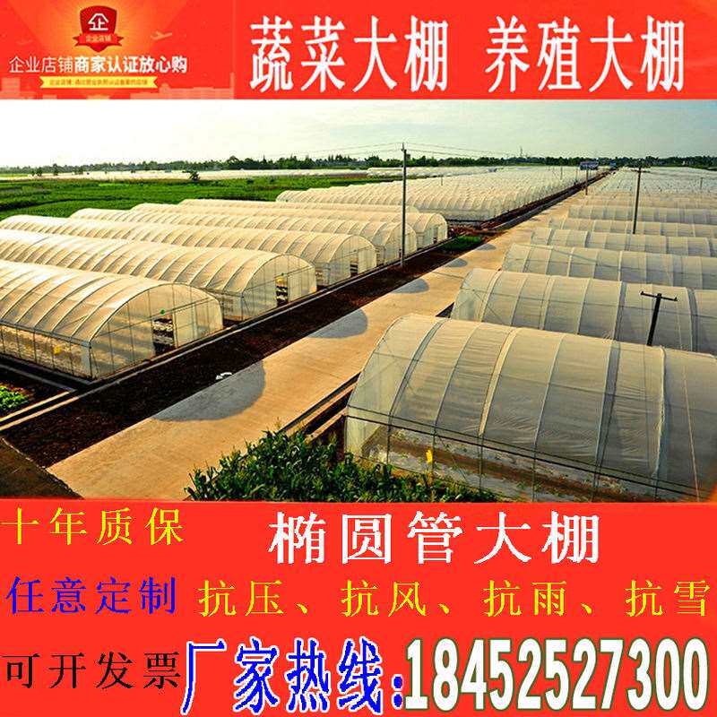 现货速发825/625温室鸡舍养殖u花卉蔬菜大棚骨架钢管配R件全X套抗