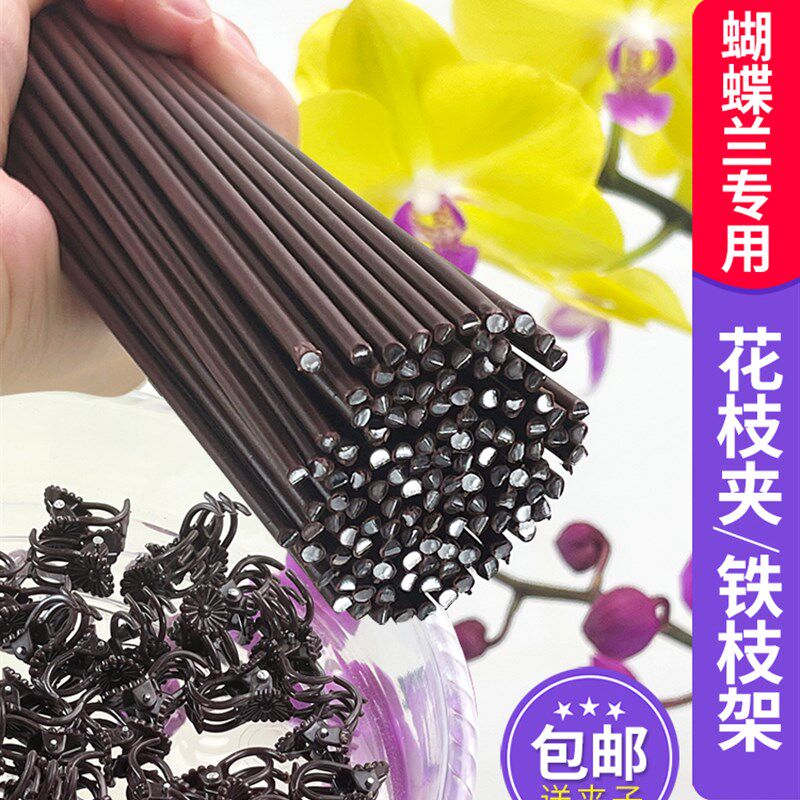 现货速发植物固定夹蝴蝶兰支架夹子固定爬藤类造型铁丝防倒伏园艺