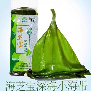 威海特产新鲜海带嫩海芝宝深海有机小海带包饭火锅海带苗整片