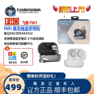 白色 FiiO FW3真无线LHDC蓝牙耳机入耳式 飞傲 HiFi高保真TWS 黑色