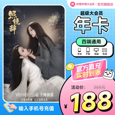 【支持电视端】哔哩哔哩超级大会员年卡 B站电视12个月 照镜辞