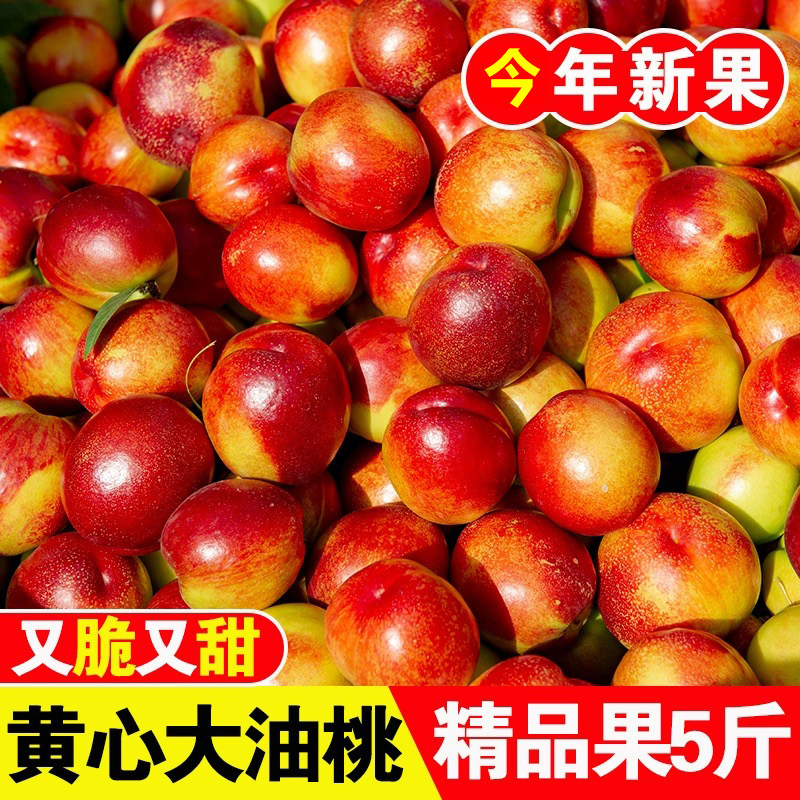 正宗新鲜黄心油桃脆桃应当季水果当季现摘脆甜油桃大果新鲜包邮