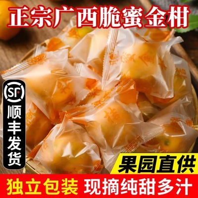 正宗广西融安脆蜜金柑第三代脆蜜金桔纯甜大金桔鲜果单独包装顺丰