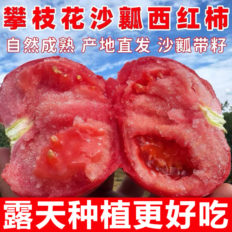 正宗攀枝花普罗旺斯西红柿自然熟生吃沙壤农家当季新鲜水果蔬菜